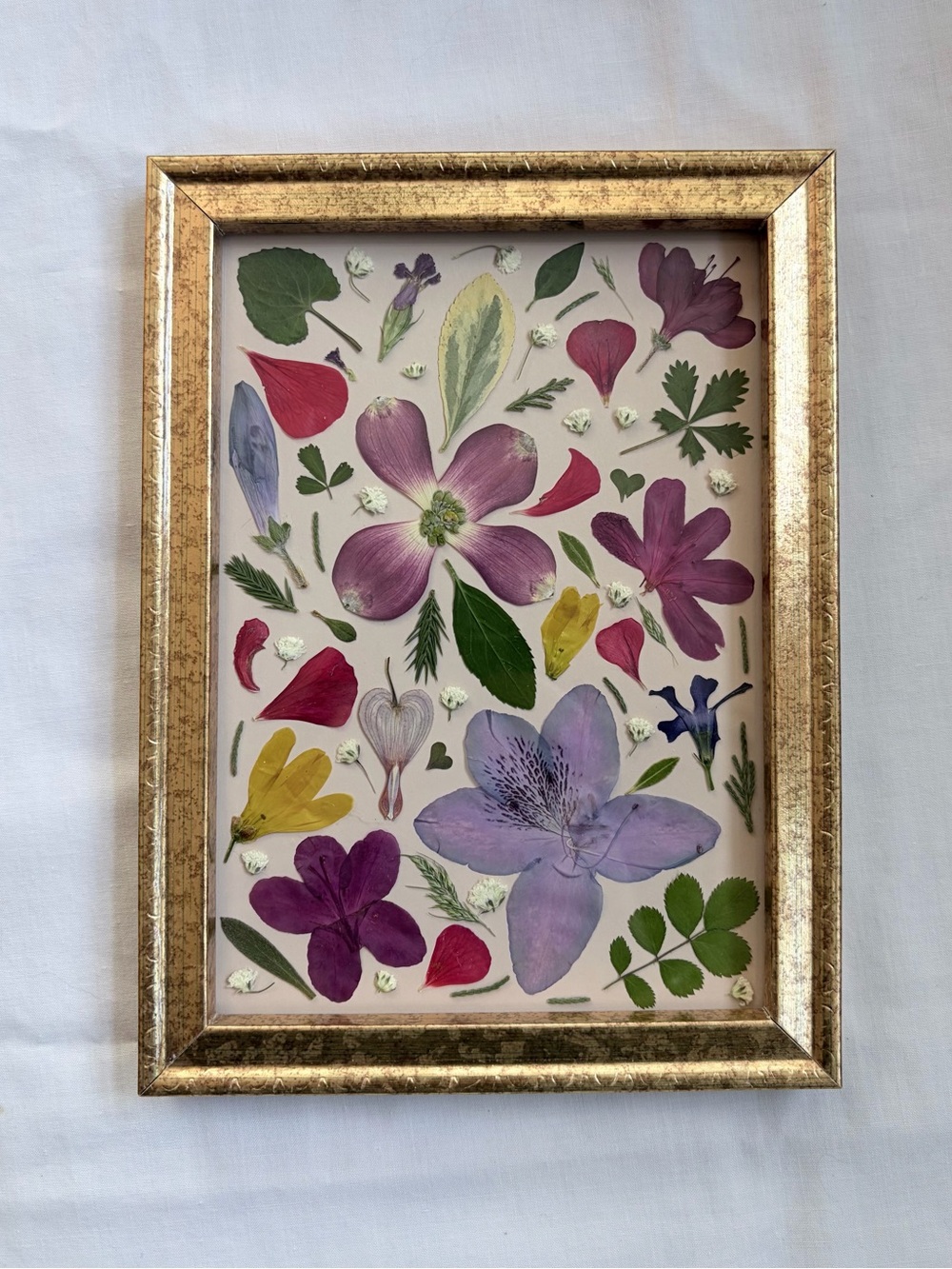 Pressed Floral Art in Gold Frame 5x7